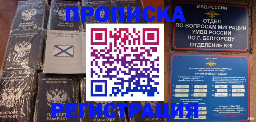 прописка гарантия в Козельске